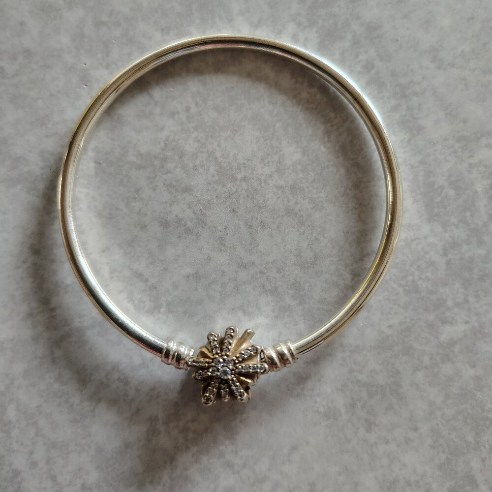 Pandora Bracelet
